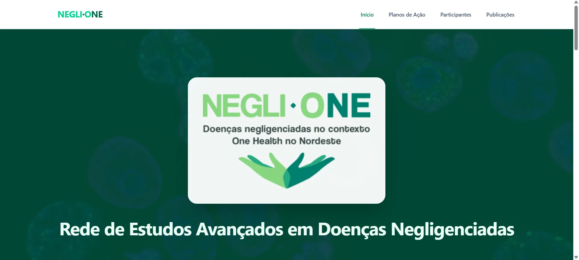 Neglione INCT - Site de Pesquisa